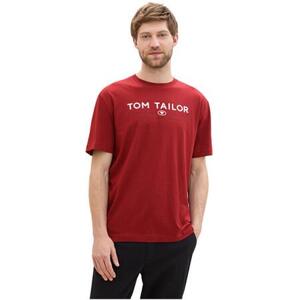 Tom Tailor Pánské triko Regular Fit 1043276.13721 M