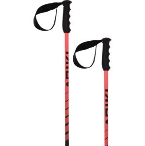 Völkl Speedstick Red + GS Red 120