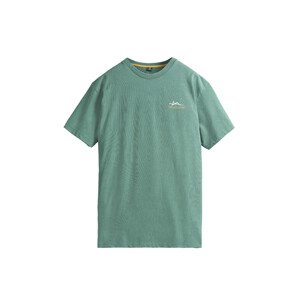 Triko PICTURE Dacey S/S, Green Washed velikost: L