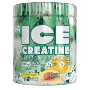 FA (Fitness Authority) FA Ice Creatine 300 g - ledový citrus/broskev
